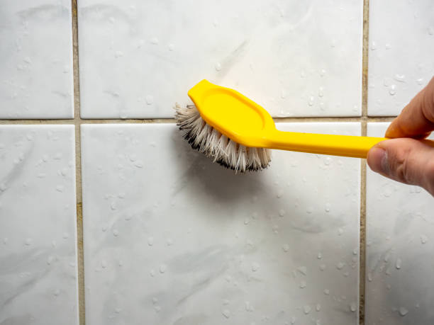 Best Mold Testing  in Mcclure, PA