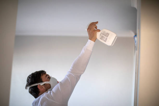 Best Mold Cleaning Services  in Mcclure, PA